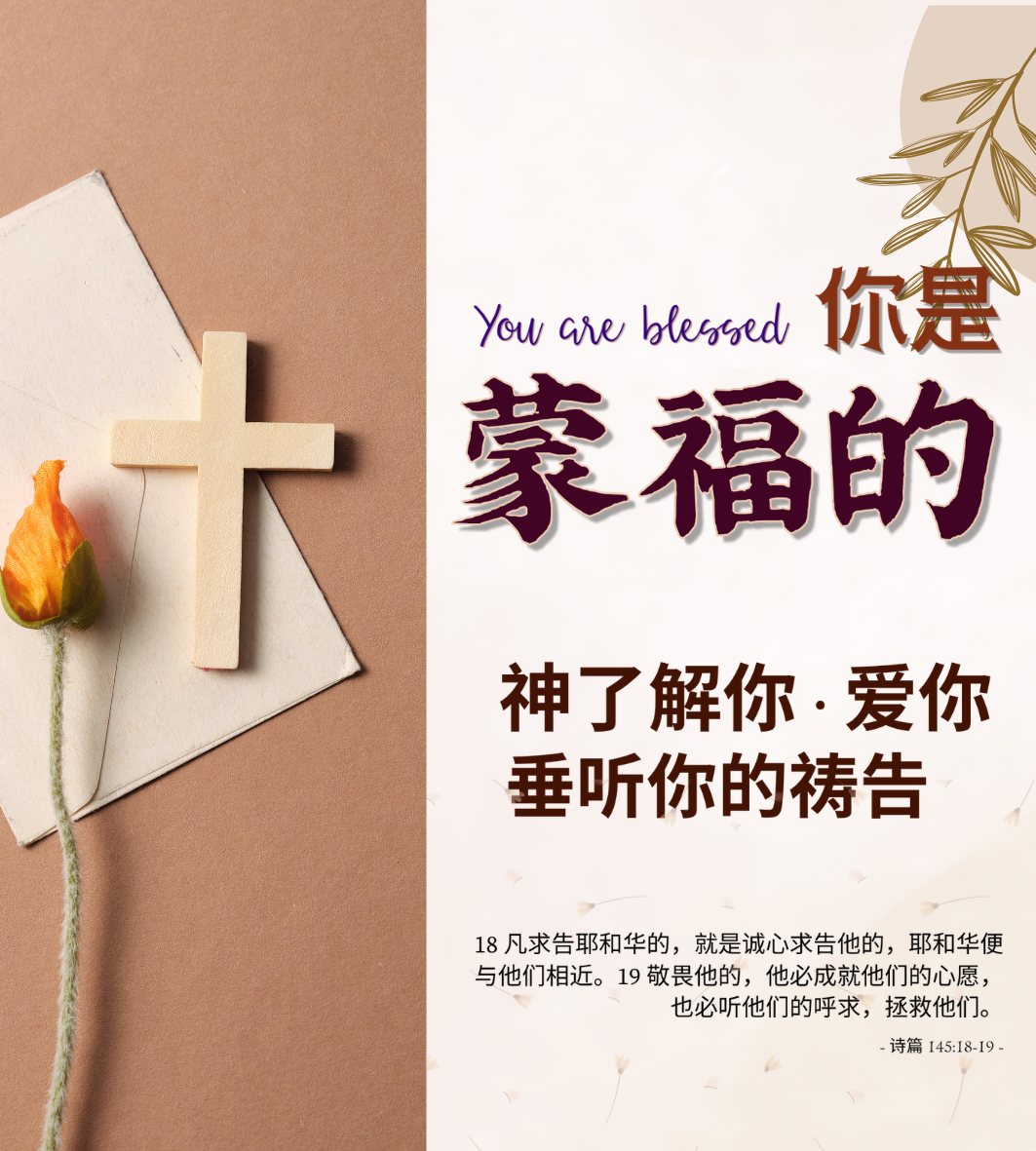 中文 (简体)